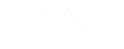 HANSI Logo